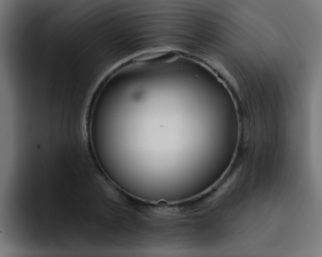 X0000092080789200710031135