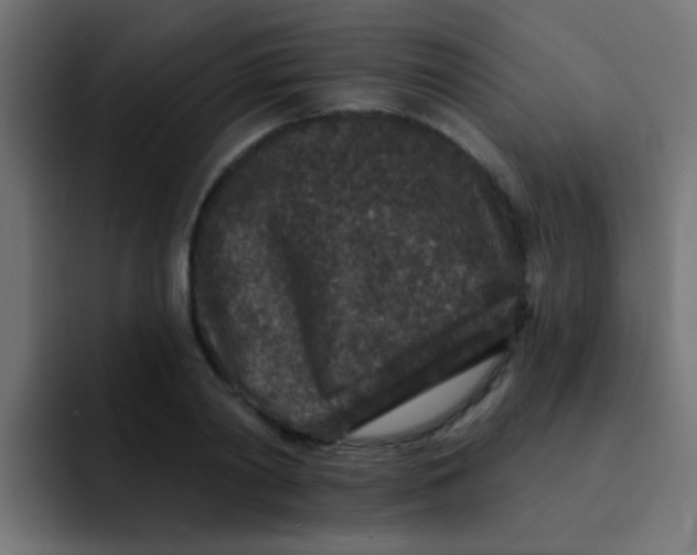 X0000092080790200710031135