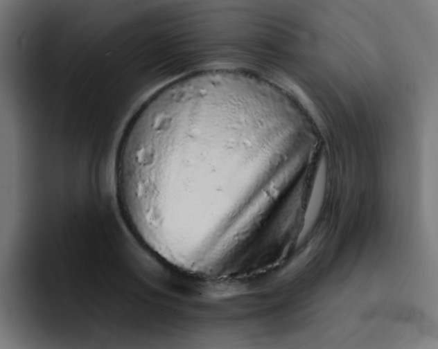 X0000092080795200710031135