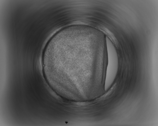 X0000092080796200710031135