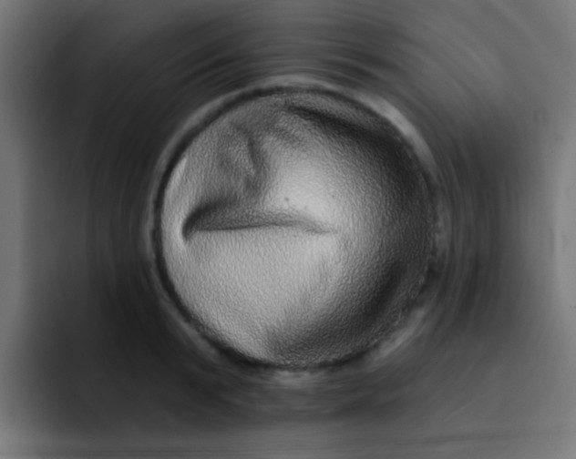 X0000092080799200710031135