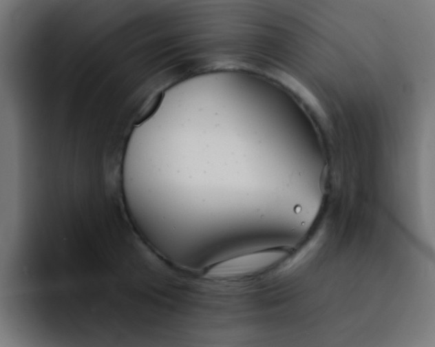 X0000092080801200710031135