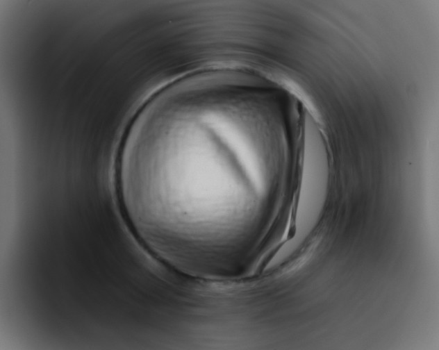 X0000092080803200710031135