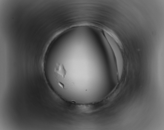 X0000092080805200710031135