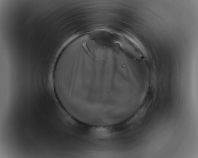 X0000092080806200710031135