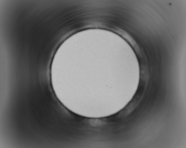 X0000092080807200710031135