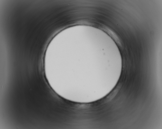 X0000092080808200710031135