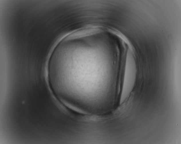 X0000092080811200710031135