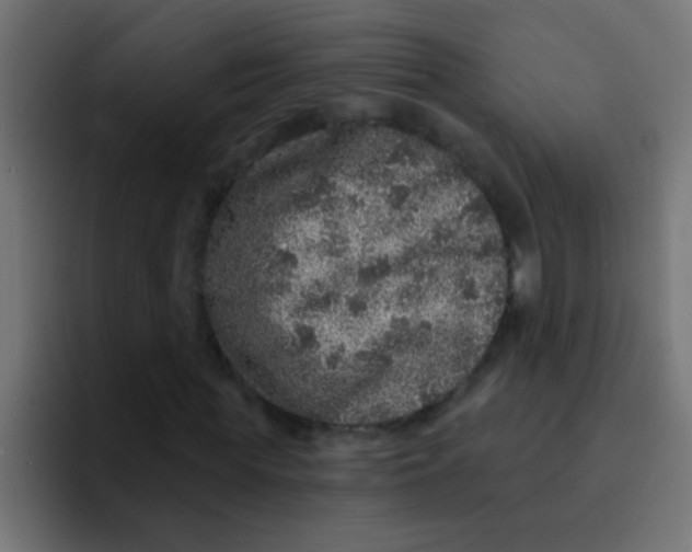 X0000092080819200710031135