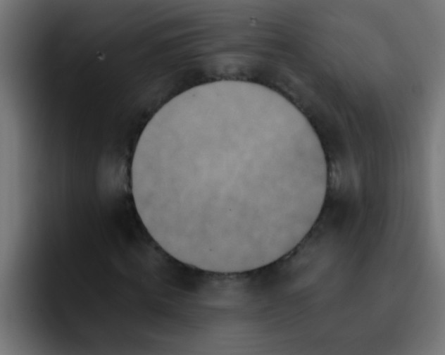 X0000092080820200710031135