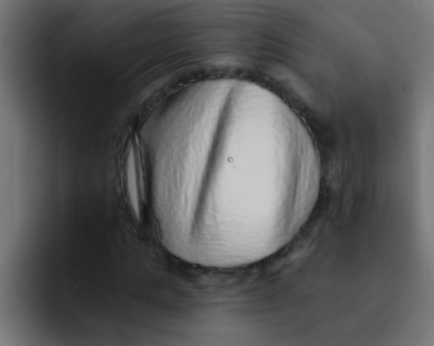 X0000092080821200710031135