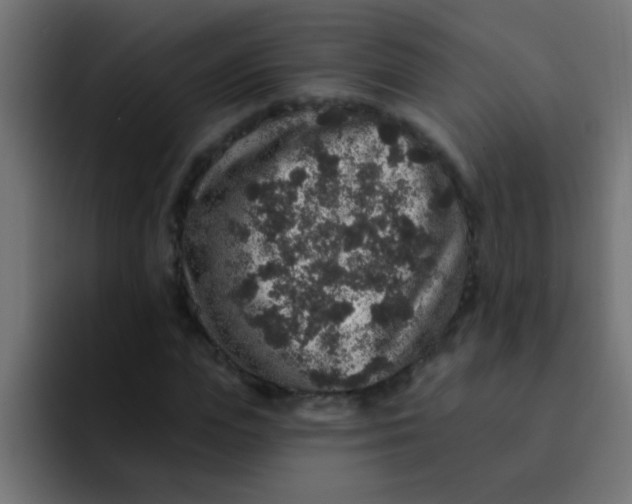 X0000092080823200710031135