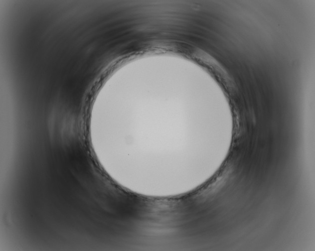 X0000092080828200710031135