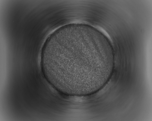 X0000092080831200710031135