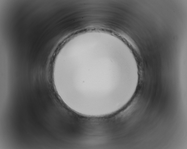 X0000092080832200710031135