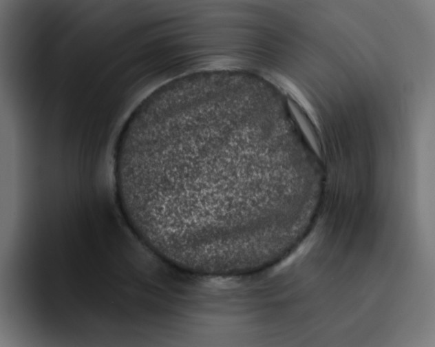 X0000092080835200710031135