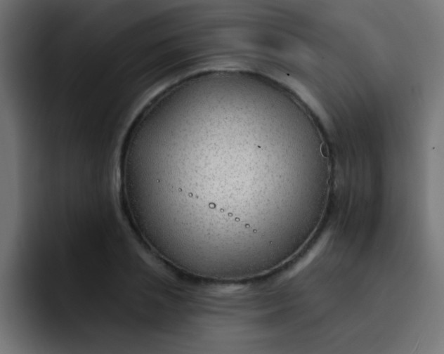 X0000092080837200710031135