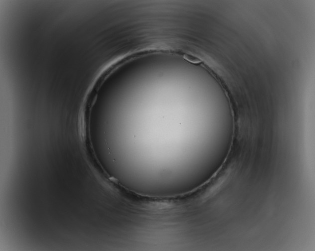 X0000092080838200710031135