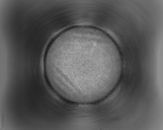 X0000092080840200710031135