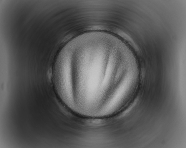 X0000092080841200710031135