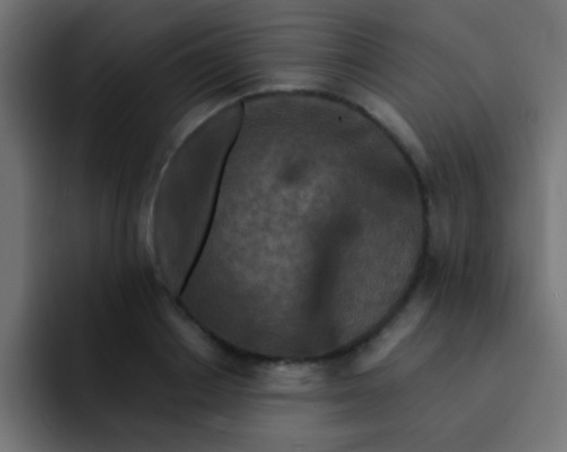 X0000092080842200710031135