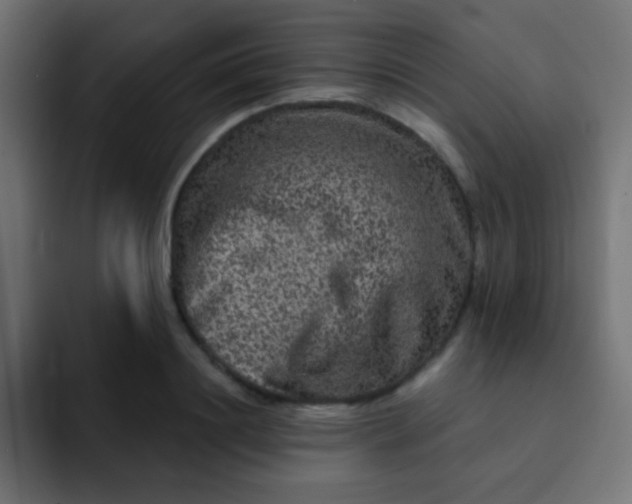 X0000092080844200710031135