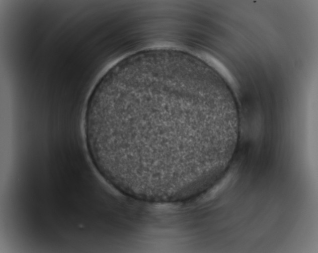 X0000092080847200710031135