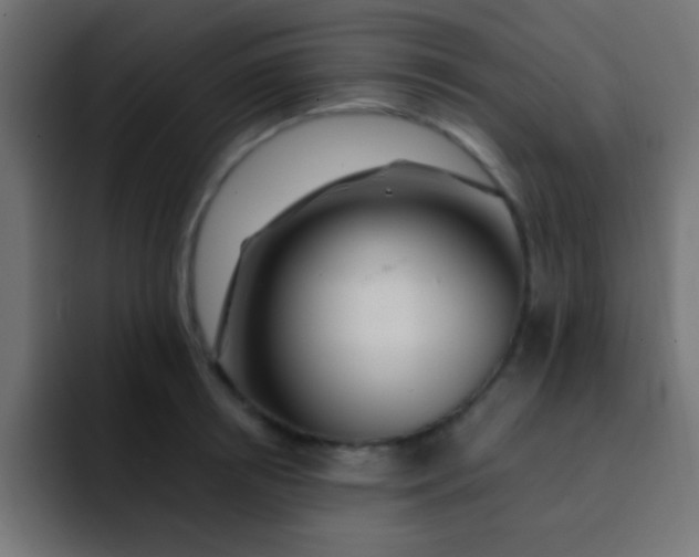 X0000092080850200710031135