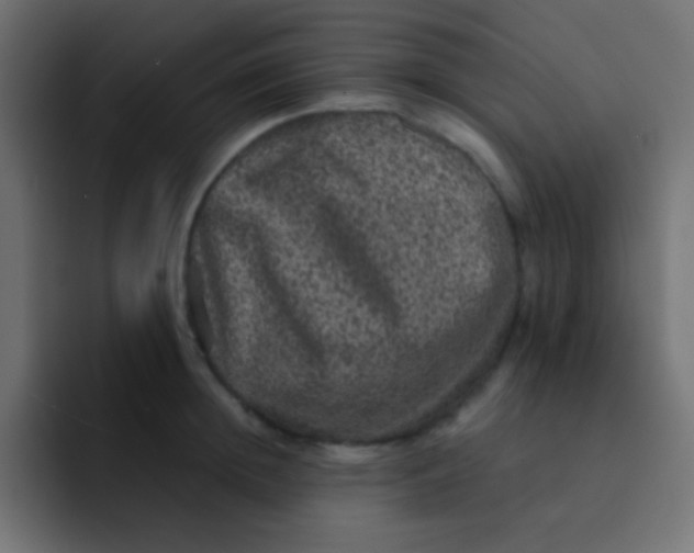 X0000092080852200710031135