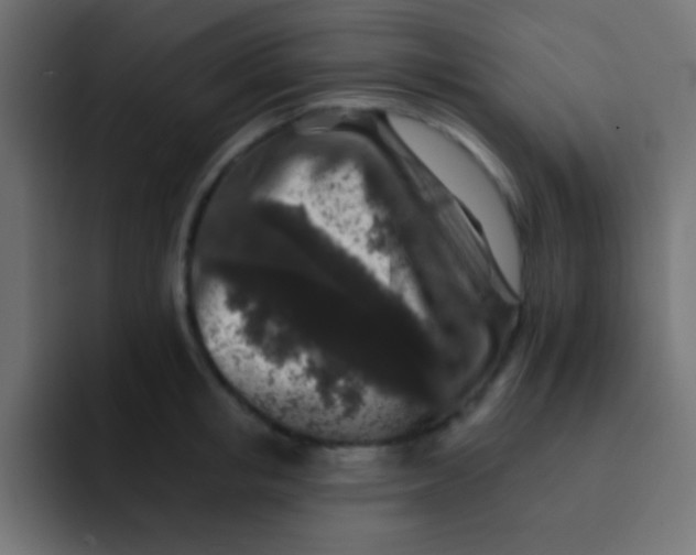 X0000092080853200710031135