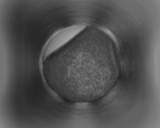 X0000092080859200710031135