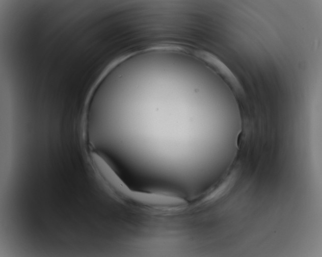 X0000092080860200710031135