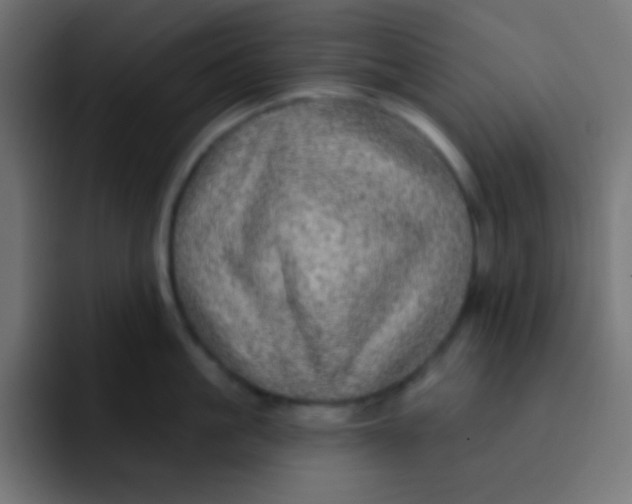 X0000092080861200710031135