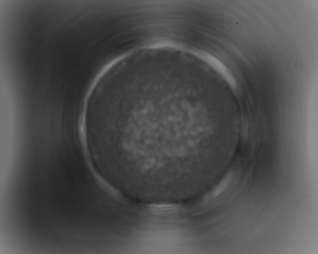 X0000092080863200710031135