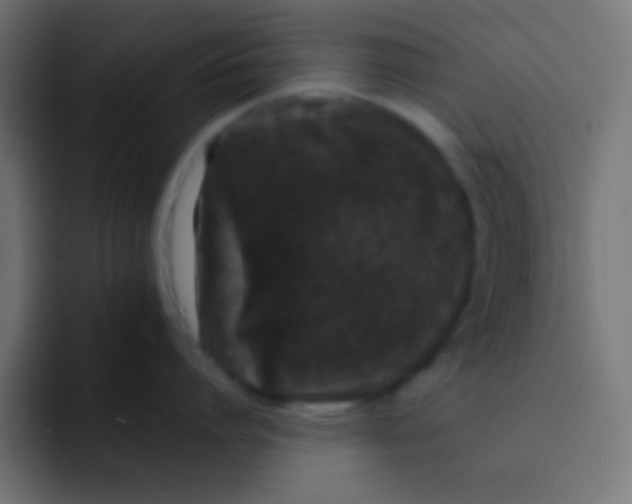 X0000092080864200710031135