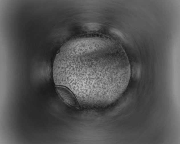 X0000092080866200710031135