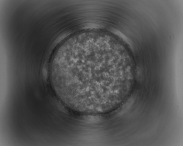 X0000092080874200710031134