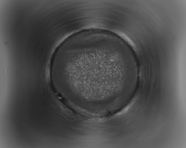 X0000092080877200710031134