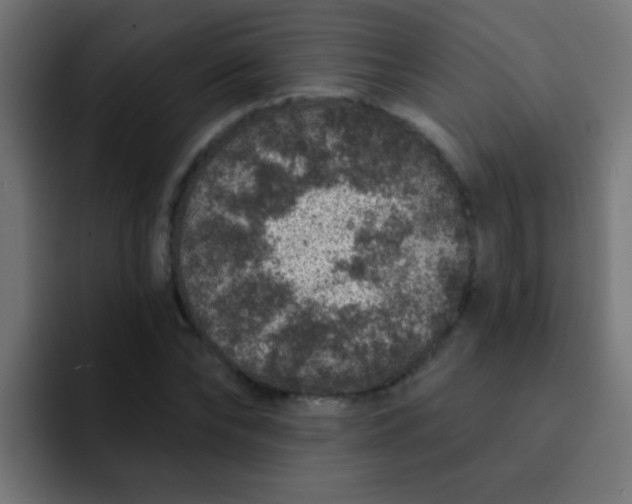 X0000092080878200710031134