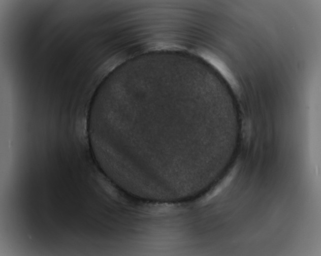 X0000092080881200710031134