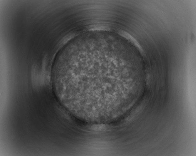 X0000092080882200710031134