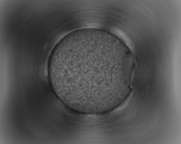 X0000092080883200710031134