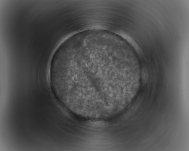 X0000092080886200710031134