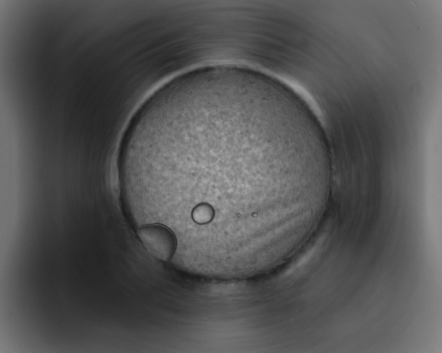 X0000092080887200710031134