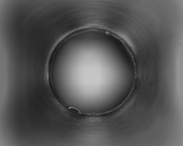 X0000092080888200710031134