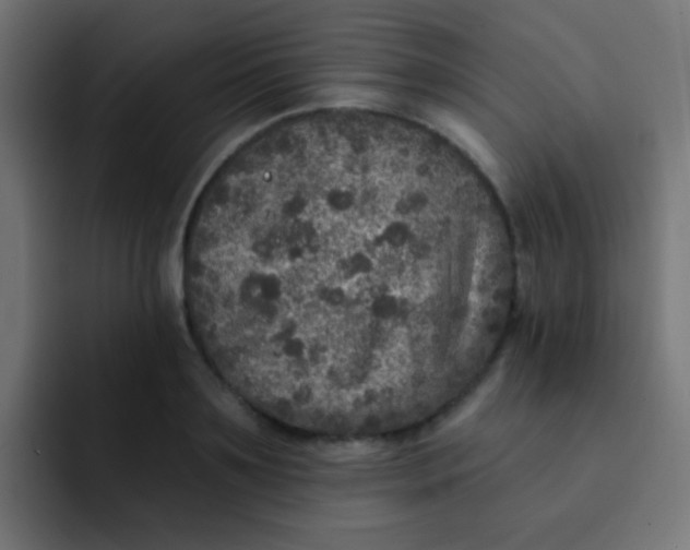 X0000092080891200710031134