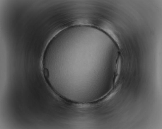 X0000092080893200710031134