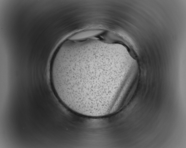 X0000092080894200710031134