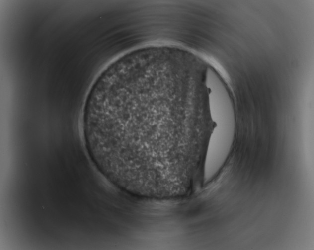 X0000092080895200710031134