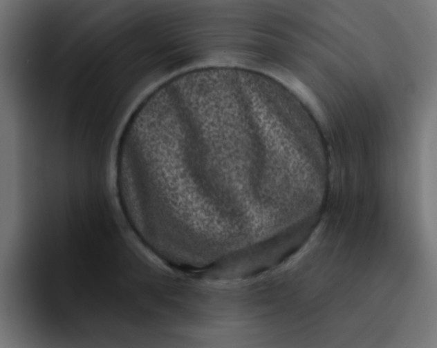 X0000092080896200710031134